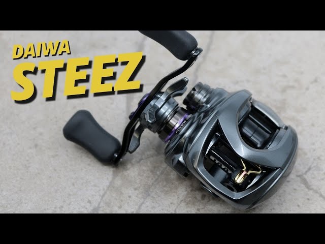 Daiwa Steez Reels - Everything You Need to Know! 