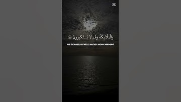 #قران_كريم #قرآن🤍 #تلاوة_جميلة #شيخ_ياسر_الدوسري #راحة_نفسية #قرآن  #اكسبلور #قرآن #fyp #quran