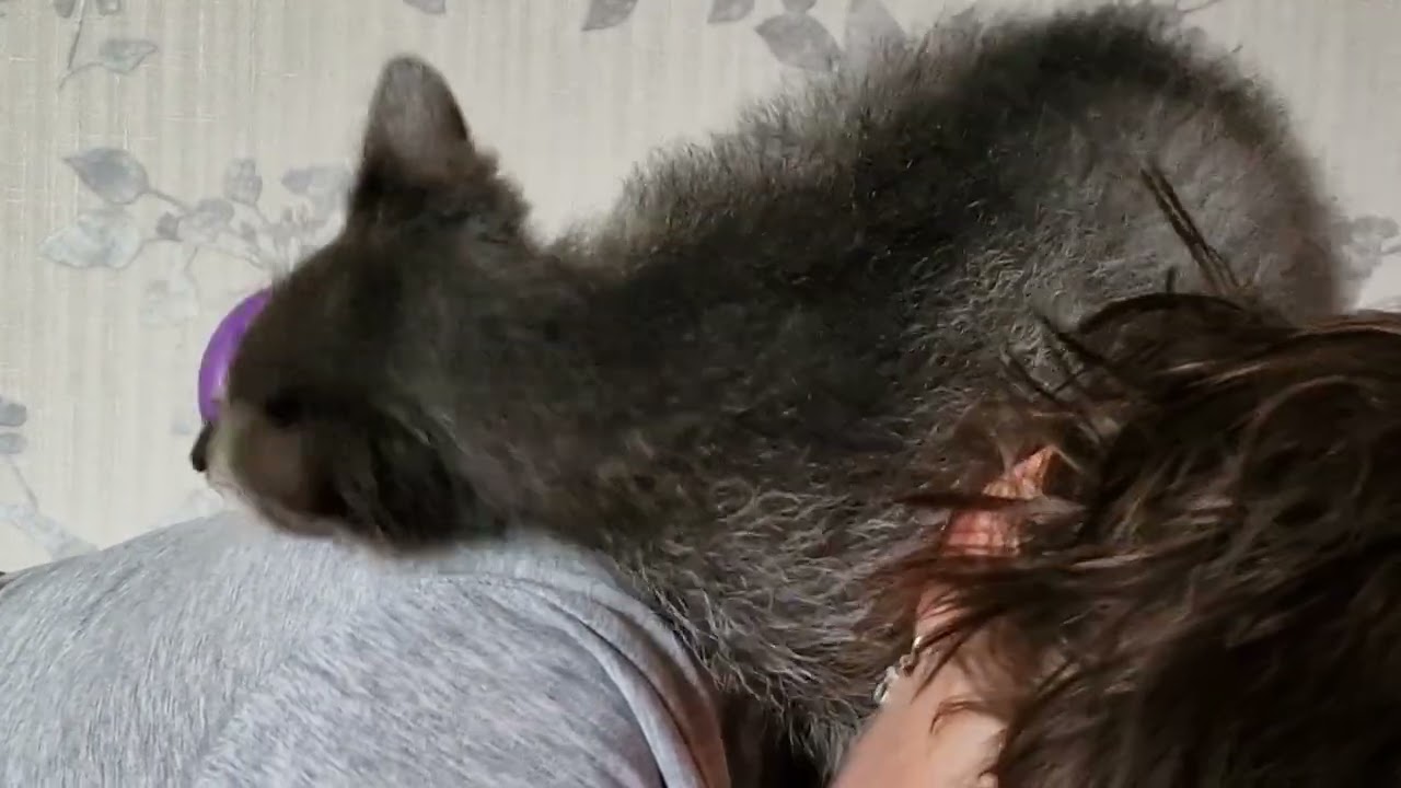 Что с ней стало после купания? Зося неузнаваема