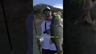Catching 10 Pound DOUBLE DIGIT BASS! #shorts #fishing