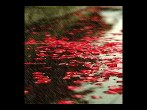 خالد الجليل ولقد خلقنا الانسان من صلصال