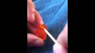 Gummy bear dissection