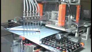 Multi Track Pouch Packing Machine