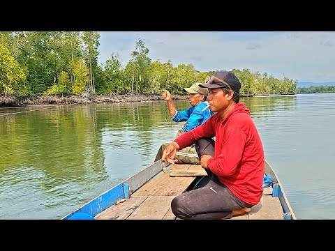 REZEKI YANG LUAR BIASA BERKALI-KALI PANCING KAMI DISAMBAR IKAN IKAN BESAR..!!SAAT DIAIR SURUT PAGI 