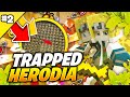 Herodia 02  je reussis a trap en 4v1 