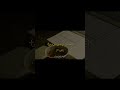 نونية ابن القيم رحمه الل ه هربوا من الر ق الذي خلقوا له شرح الع لا مة محم د بن الع ث ي م ين 