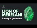 The lion of merelani a unique gemstone