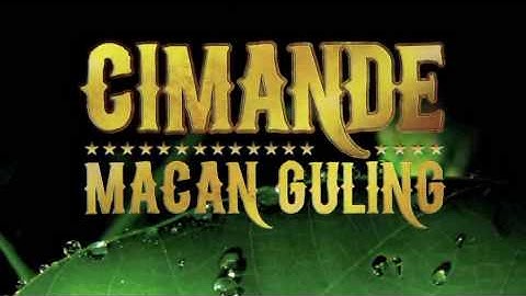 Clip of the DVD Cimande Macan Guling Volume 2
