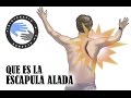 Escapula alada, que es y como se produce