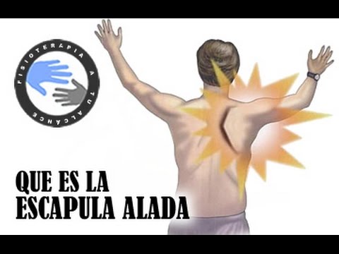 Video: ¿Por qué es importante que la escápula gire hacia arriba?