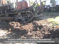 ДТ-54 выкорчевка многолетней березы