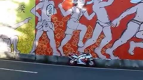 ２０１５名栗湖国際野外美術展 選集　予告ビデオ　展覧会の絵