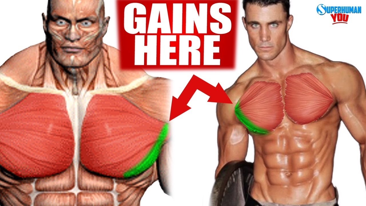 Outer Chest Workout For Aesthetics