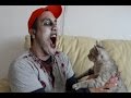 Parodia Apocalipsis Zombie vs Gato Resident Evil