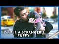 I STOLE A STRANGER&#39;S PUPPY | Chris Klemens