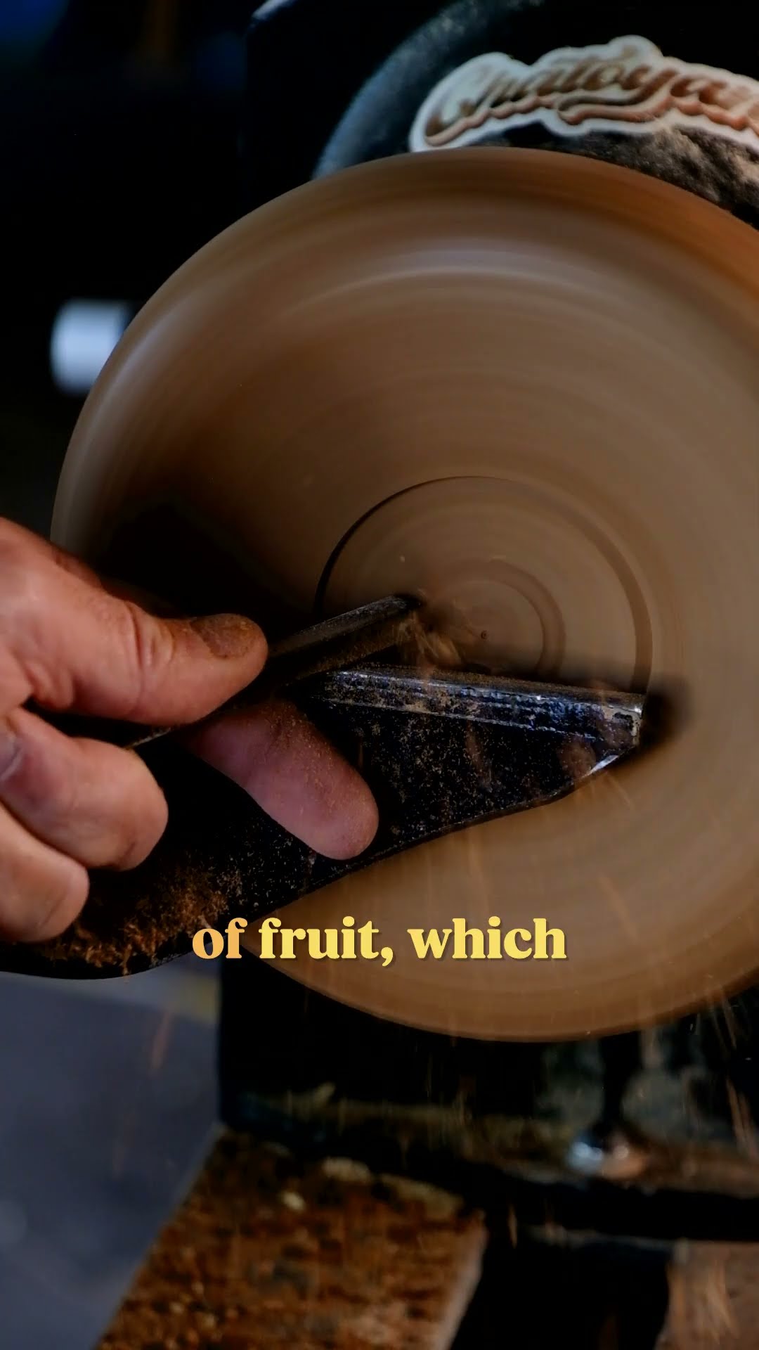 Turning Russian Olive Wood | inVASEive Species #trees #woodworking #shorts
