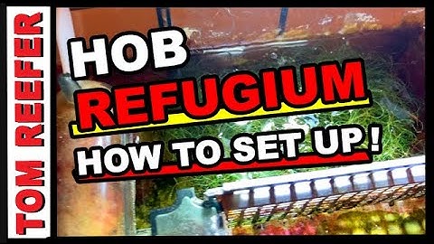Reef Tank -  HOB REFUGIUM - HOW TO SET UP - HOW TO MOVE YOUR REEF TANK (Part 1)