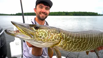WE Had SO Many Musky Bites!! - July Northern Wisconsin Muskie Fishing!!