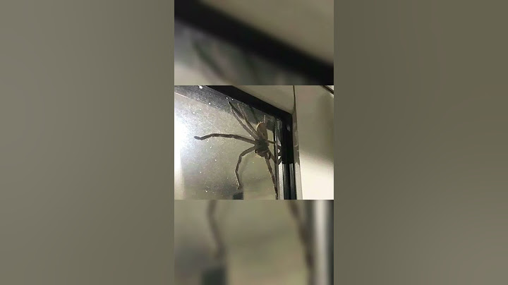 Avustralya’da yaşamak nasıl mı hissettiriyor?