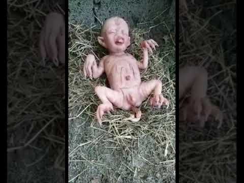 Video: Kada gimė Homano kūdikis?