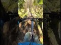 February riding highlights🤙 #mtb #shorts