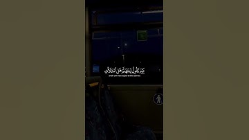 وما أنا بظلام للعبيد🥹 #القرآن_الكريم #تلاوة_خاشعة #اكتب_شي_تؤجر_عليهہَ_ #المصحف