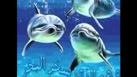 سورة الانفال للشيخ اسامة حسينى