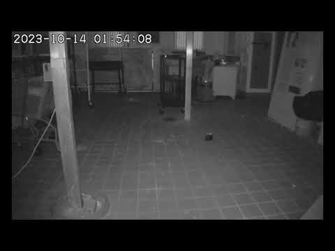 South Ward Elementary School REM POD 727 Paranormal Life Clearwater Historical Society Florida