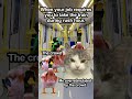 #Work #Job #People #AntiWork #Transit #Train #RushHour #Memes #WorkMemes #CatMemes #Cats #Shorts