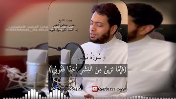 فناداها من تحتها ألا تحزني للقارئ أحمد النفيس 1440هـ