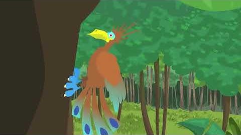 Where does Amber come from?