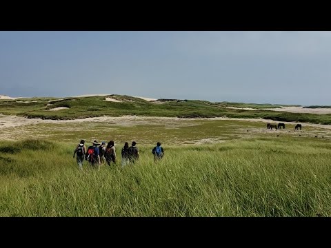 La promesse de l'île de Sable au Mi'kma'ki | La conservation dirigée par les Autochtones