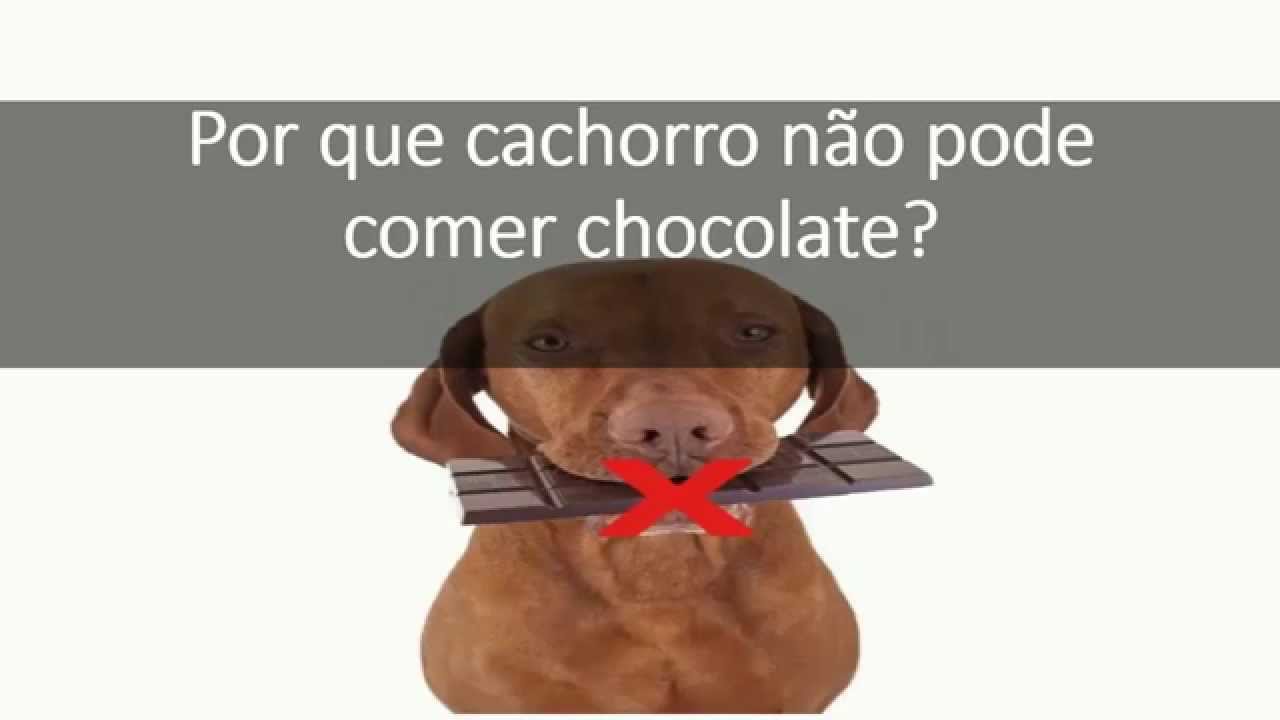 Pode Comer Chocolate Quando Fura A Orelha