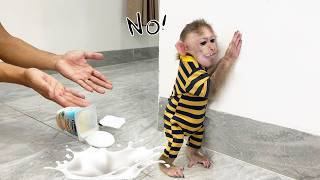 baby monkey sulks when he sees Dad secretly eating his yogurt
