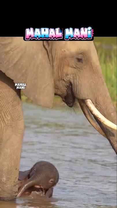 😍 யப்பா கோல்ட்டு குளிச்சது போதும் 😂😂😂