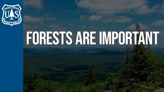 Forests are Important - USDA Forest Service Reforestation Initiatives