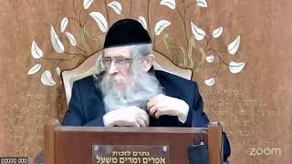 הרה"ג הרב וועכטר שליט"א י"א טבת תשפ"ו - מאמר הרבי תשל"ח ד"ה יהודה אתה יודוך אחיך חלק א'