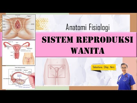 ANATOMI FISIOLOGI SISTEM REPRODUKSI WANITA