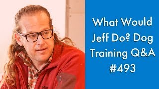 Crate training dogs | Dogs with Separation Anxiety | What Would Jeff Do? Dog Training Q & A #493