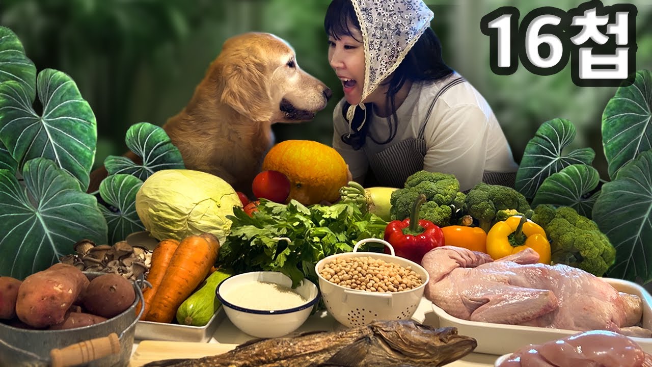 Обед из 16 блюд для ретривера (Апогей домашней еды для собак)