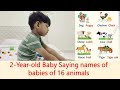 2yearold baby saying names of babies of 16 animals