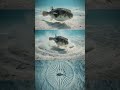 Why This Fish Carved Perfect Sand Geometry