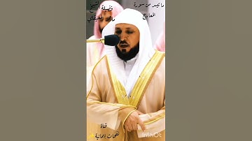 فضيلة الشيخ ماهر المعيقلي ما تيسر من سورة المعارج