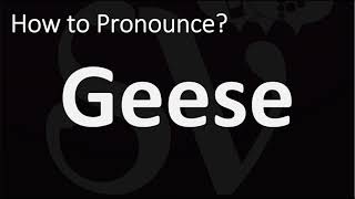 How to Pronounce Geese? (CORRECTLY) screenshot 1