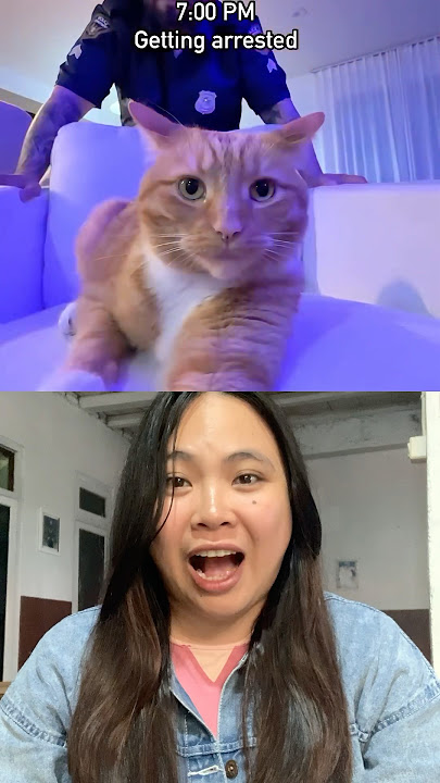Bagian akhirnya ngk ketebak😅😅☺️☺️ #cat #funny #cute #funnycats #duet #imut #youtubeshorts