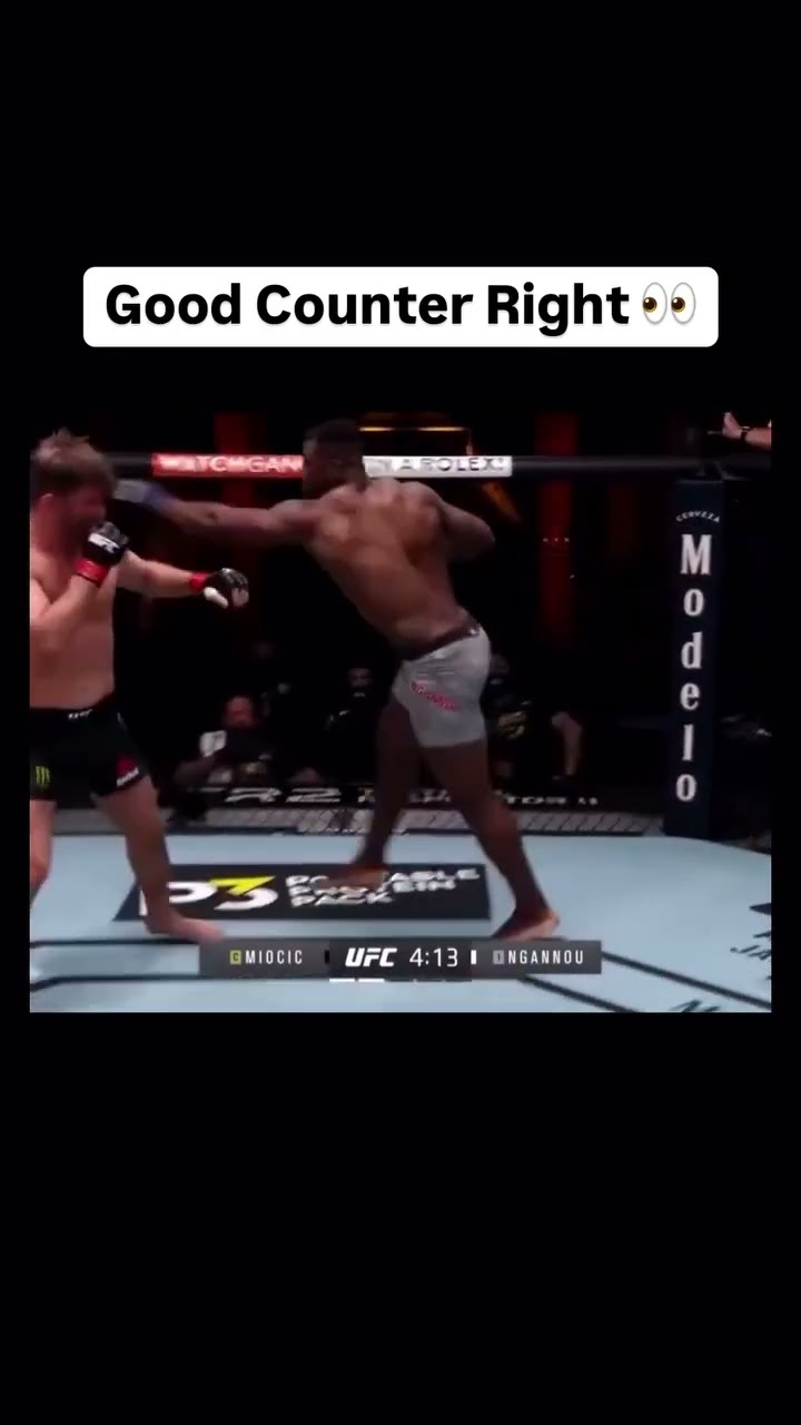 Stipe Miocic Tried but Francis Ngannou hit him with a perfect ? Via - @ufc #ufc #knockout