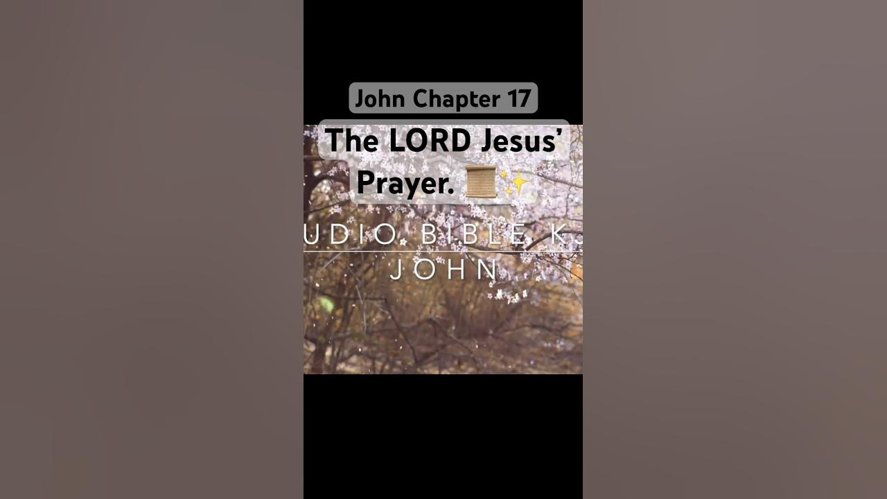 bible-john-chapter-17-the-lord-jesus-prayer-short-shorts-john