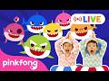 LIVE Baby Shark Dance Full Episodes Spooky Zombie Sharks Pinkfong LIVE LIVE Baby Shark Dance Full Episodes Spooky Zombie Sharks Pinkfong LIVE