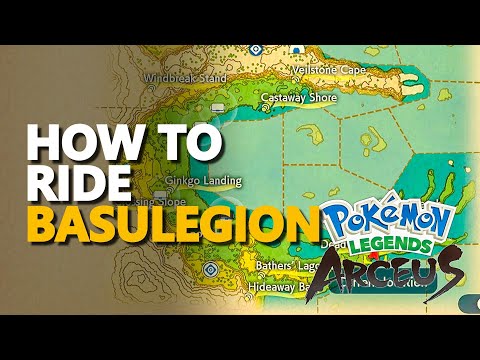 How to ride