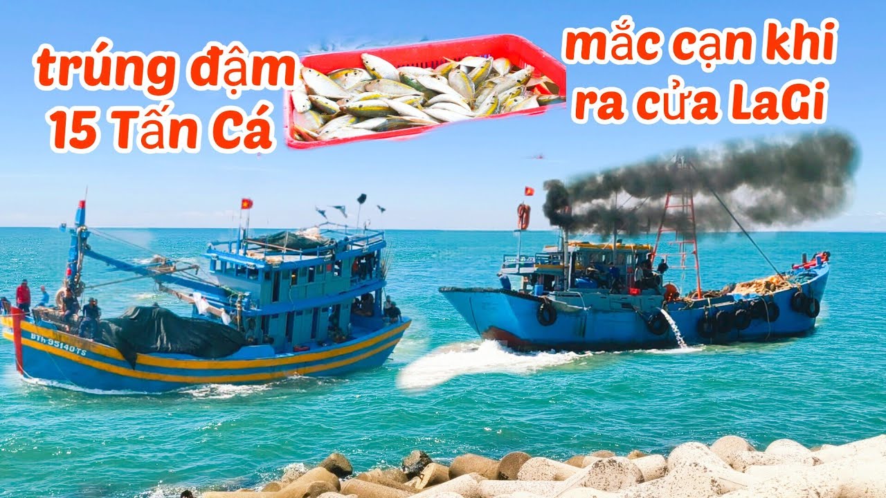 Ghe Giã Cào Mắc Cạn Khi Ra Cửa...Ghe Lưới Rút Trúng 15 Tấn Cá Chỉ!!!